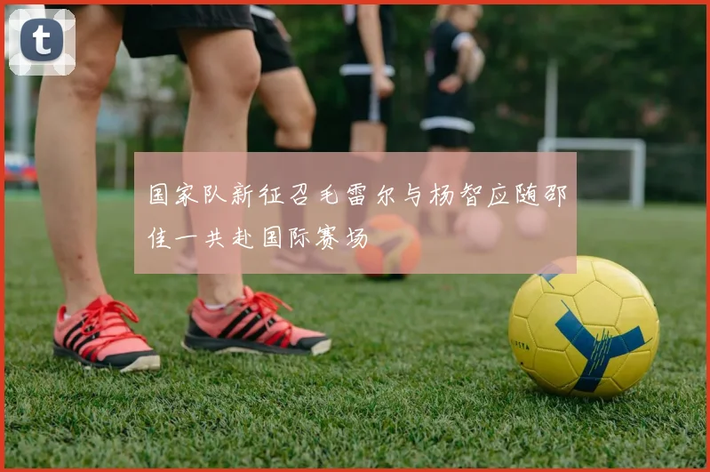 国家队新征召毛雷尔与杨智应随邵佳一共赴国际赛场
