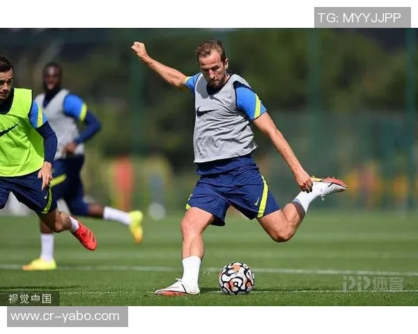 凯恩近两个赛季热区变化分析:上赛季专注禁区本赛季活动范围显著扩大